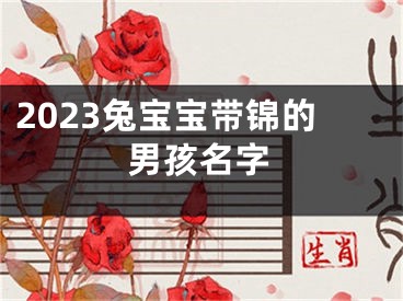 2023兔宝宝带锦的男孩名字