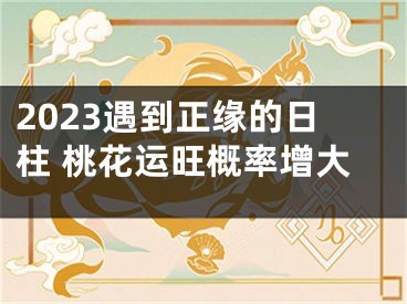 2023遇到正缘的日柱 桃花运旺概率增大