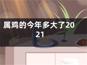 属鸡的今年多大了2021