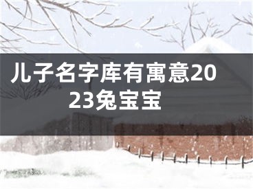 儿子名字库有寓意2023兔宝宝