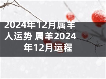 2024年12月属羊人运势 属羊2024年12月运程