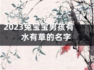 2023兔宝宝男孩有水有草的名字