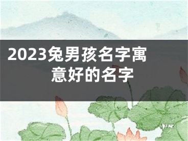 2023兔男孩名字寓意好的名字