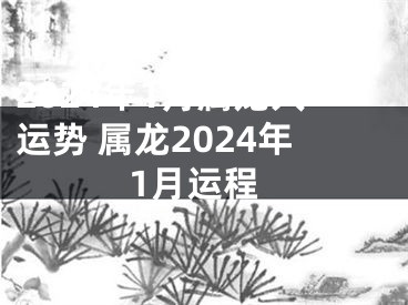 2024年1月属龙人运势 属龙2024年1月运程