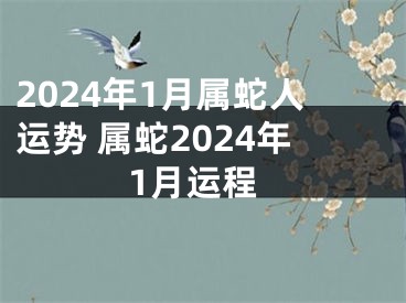 2024年1月属蛇人运势 属蛇2024年1月运程