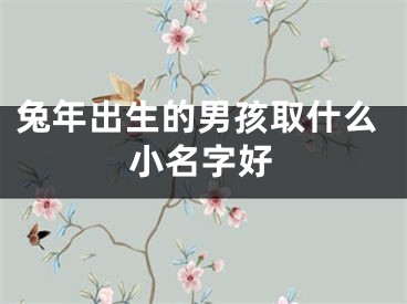 兔年出生的男孩取什么小名字好