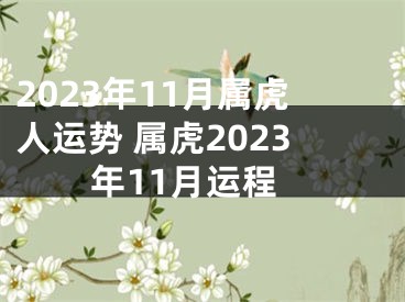 2023年11月属虎人运势 属虎2023年11月运程