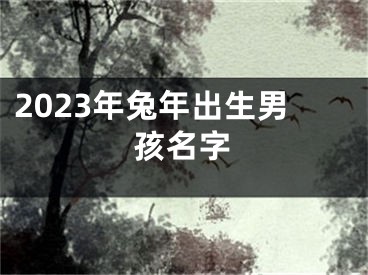 2023年兔年出生男孩名字