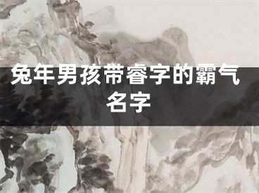 兔年男孩带睿字的霸气名字