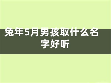 兔年5月男孩取什么名字好听