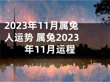 2023年11月属兔人运势 属兔2023年11月运程