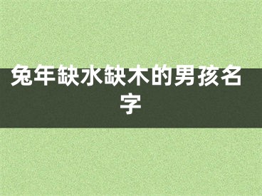 兔年缺水缺木的男孩名字