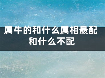 属牛的和什么属相最配和什么不配