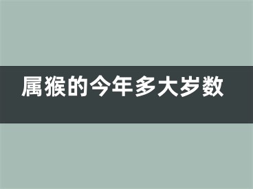 属猴的今年多大岁数