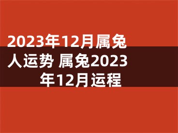 2023年12月属兔人运势 属兔2023年12月运程