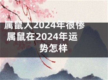 属鼠人2024年很惨 属鼠在2024年运势怎样