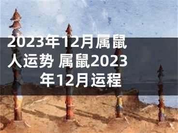 2023年12月属鼠人运势 属鼠2023年12月运程