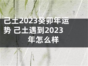 己土2023癸卯年运势 己土遇到2023年怎么样