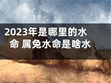 2023年是哪里的水命 属兔水命是啥水