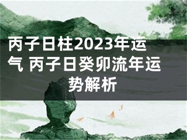 丙子日柱2023年运气 丙子日癸卯流年运势解析