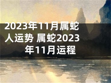 2023年11月属蛇人运势 属蛇2023年11月运程