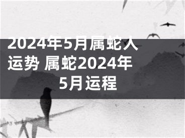 2024年5月属蛇人运势 属蛇2024年5月运程