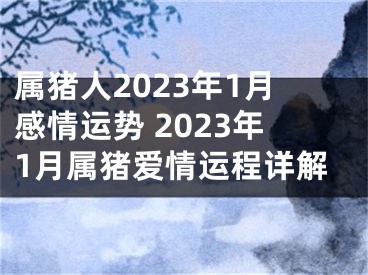 属猪人2023年1月感情运势 2023年1月属猪爱情运程详解