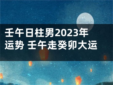 壬午日柱男2023年运势 壬午走癸卯大运