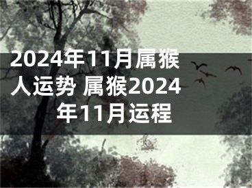 2024年11月属猴人运势 属猴2024年11月运程