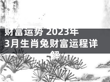 属兔人2023年3月财富运势 2023年3月生肖兔财富运程详解