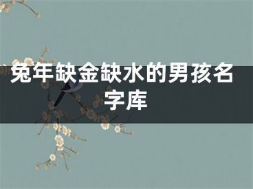 兔年缺金缺水的男孩名字库