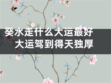 癸水走什么大运最好 大运驾到得天独厚