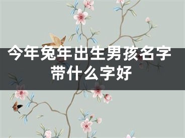 今年兔年出生男孩名字带什么字好