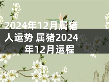 2024年12月属猪人运势 属猪2024年12月运程