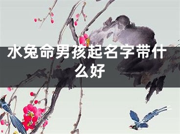 水兔命男孩起名字带什么好