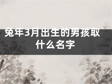 兔年3月出生的男孩取什么名字