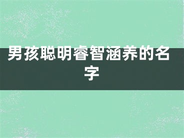 男孩聪明睿智涵养的名字