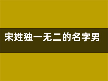 宋姓独一无二的名字男