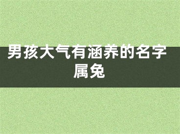 男孩大气有涵养的名字属兔