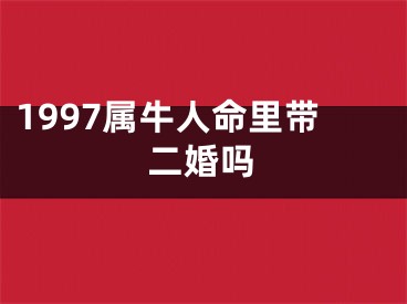 1997属牛人命里带二婚吗