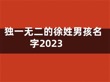 独一无二的徐姓男孩名字2023