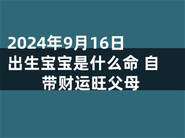 2024年9月16日出生宝宝是什么命 自带财运旺父母