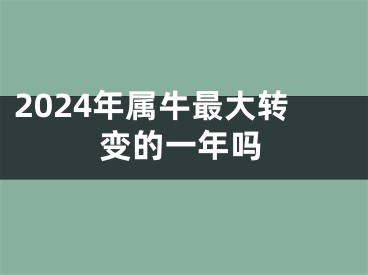 2024年属牛最大转变的一年吗