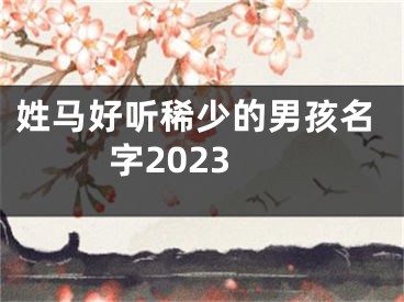 姓马好听稀少的男孩名字2023