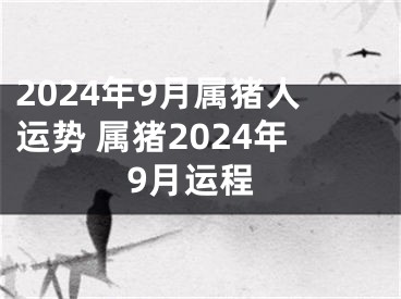 2024年9月属猪人运势 属猪2024年9月运程