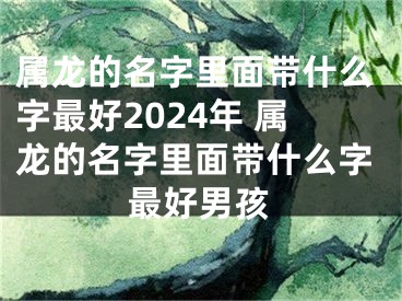 属龙的名字里面带什么字最好2024年 属龙的名字里面带什么字最好男孩