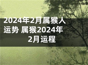 2024年2月属猴人运势 属猴2024年2月运程