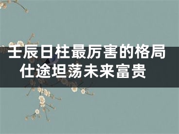 壬辰日柱最厉害的格局 仕途坦荡未来富贵