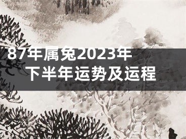 87年属兔2023年下半年运势及运程