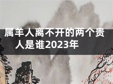 属羊人离不开的两个贵人是谁2023年